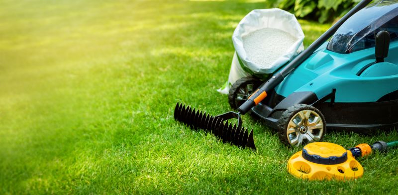 Lawn Repair Service